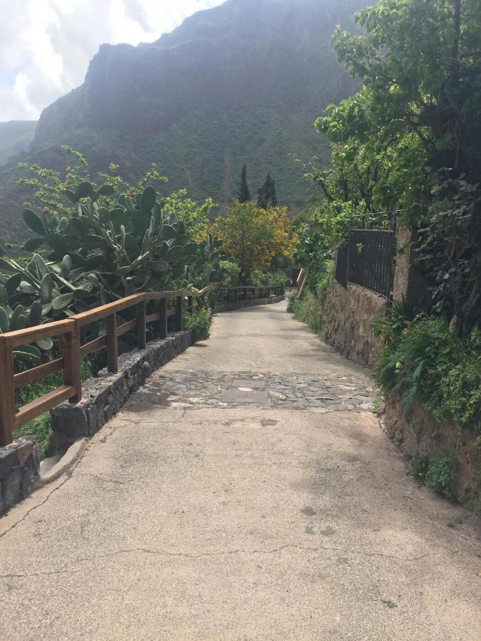 Montana la Data B&B Casa En La Montana المظهر الخارجي الصورة