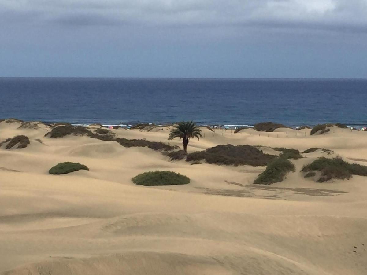 Montana la Data B&B Casa En La Montana المظهر الخارجي الصورة
